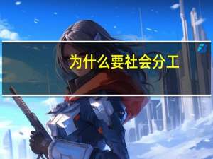 为什么要社会分工,请详细说明.