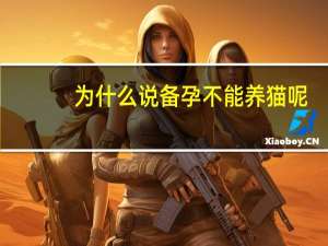 为什么说备孕不能养猫呢