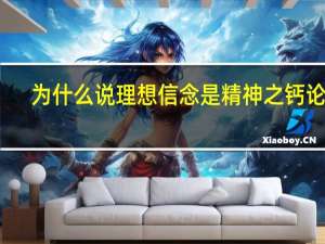 为什么说理想信念是精神之钙论文（为什么说理想信念是精神之钙）