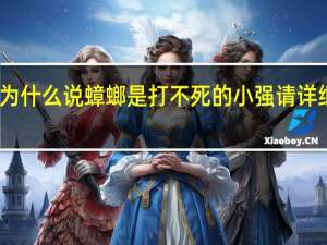 为什么说蟑螂是打不死的小强请详细解释