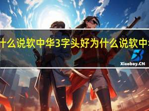 为什么说软中华3字头好 为什么说软中华硬玉溪