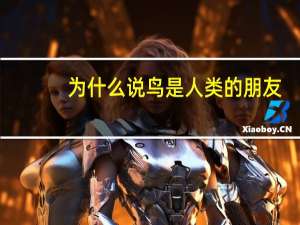 为什么说鸟是人类的朋友