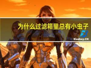 为什么过滤箱里总有小虫子