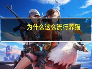 为什么这么流行养猫