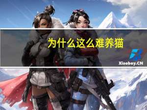 为什么这么难养猫