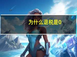 为什么退税是0