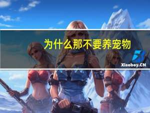为什么那不要养宠物