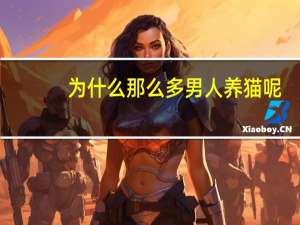 为什么那么多男人养猫呢