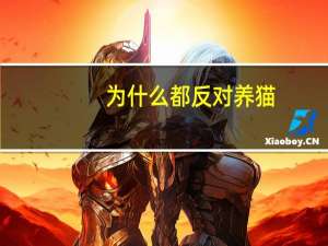 为什么都反对养猫