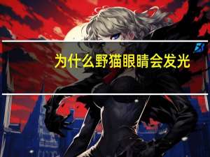 为什么野猫眼睛会发光