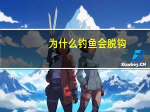 为什么钓鱼会脱钩