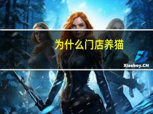 为什么门店养猫