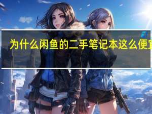 为什么闲鱼的二手笔记本这么便宜啊
