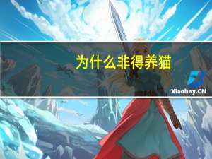 为什么非得养猫