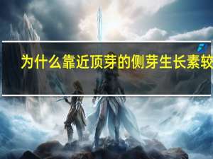 为什么靠近顶芽的侧芽生长素较多