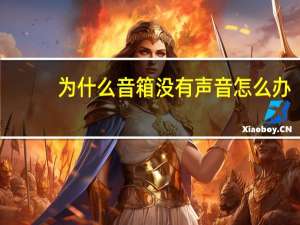 为什么音箱没有声音怎么办（为什么音箱没有声音）