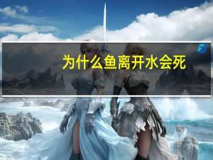为什么鱼离开水会死