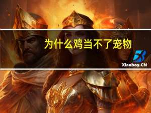 为什么鸡当不了宠物