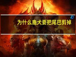 为什么鹿犬要把尾巴剪掉