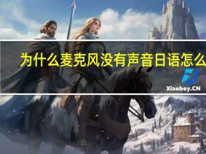 为什么麦克风没有声音日语怎么说（为什么麦克风没有声音）