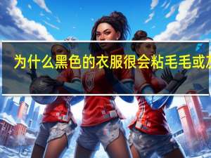 为什么黑色的衣服很会粘毛毛或灰尘