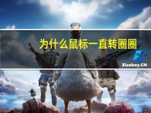 为什么鼠标一直转圈圈