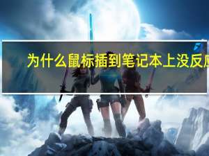 为什么鼠标插到笔记本上没反应