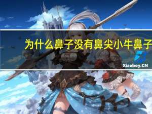 为什么鼻子没有鼻尖 小牛鼻子上没有水洙是怎么回事