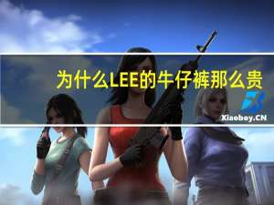 为什么LEE的牛仔裤那么贵