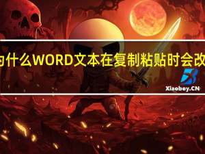 为什么WORD文本在复制粘贴时会改变格式？