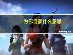 为你自豪什么意思