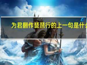为君翻作琵琶行的上一句是什么