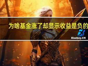 为啥基金涨了却显示收益是负的呢