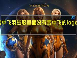 为啥我买的雪中飞羽绒服里面没有雪中飞的logo 雪中飞羽绒服女款