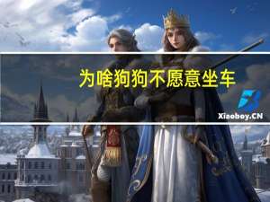 为啥狗狗不愿意坐车