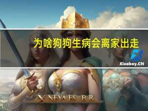 为啥狗狗生病会离家出走