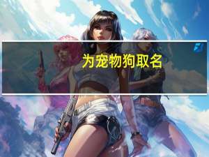 为宠物狗取名