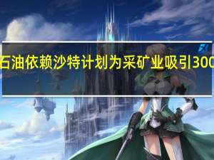 为摆脱石油依赖沙特计划为采矿业吸引3000亿私营投资