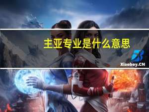 主亚专业是什么意思
