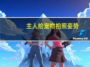 主人给宠物拍照姿势