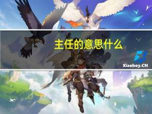 主任的意思什么