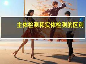 主体检测和实体检测的区别