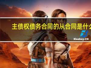 主债权债务合同的从合同是什么