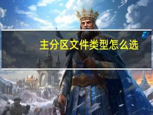 主分区文件类型怎么选