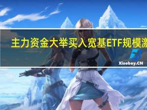 主力资金大举买入 宽基ETF规模激增