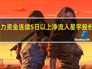 主力资金连续5日以上净流入星宇股份等73股
