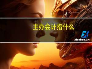 主办会计指什么