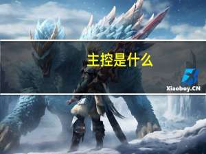 主控是什么
