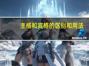 主格和宾格的区别和用法