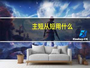 主短从短用什么